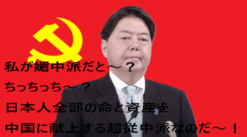 林芳正666.png