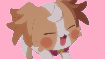 犬飼こむぎ65645.jpg